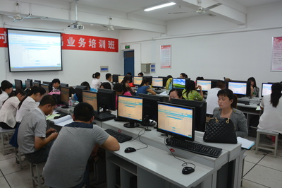 沛县农村产权交易信息服务网 赋能农村资源流转，助力乡村振兴